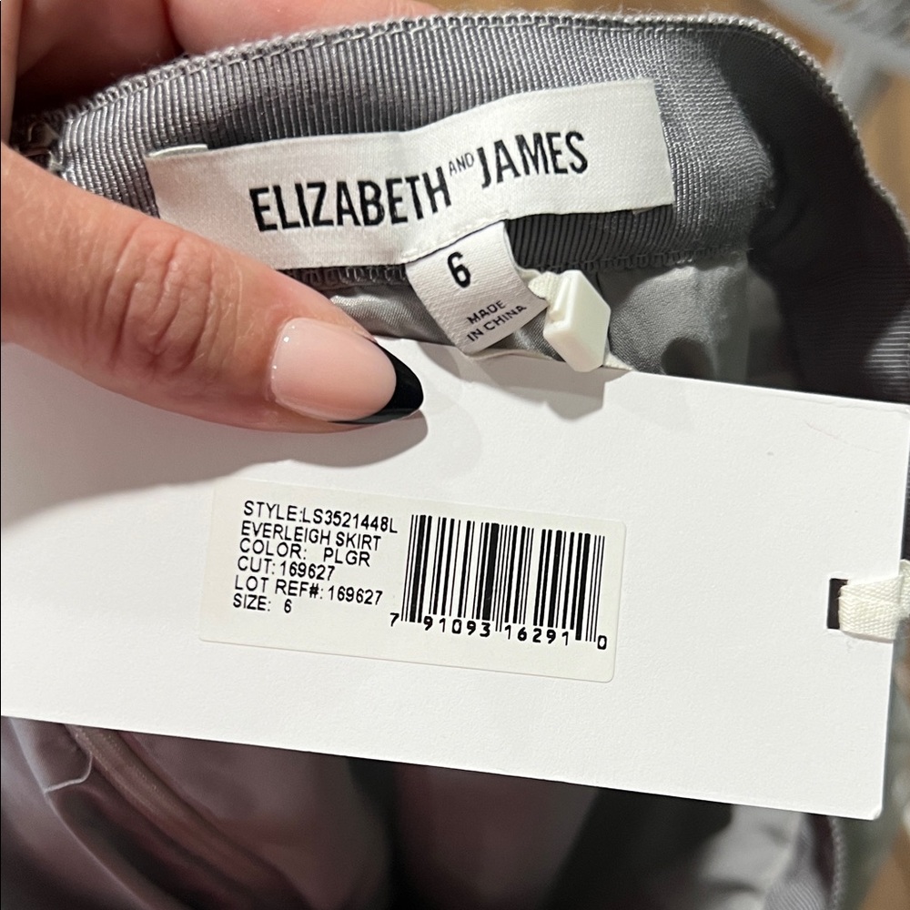 Elizabeth and James Silver Skirt